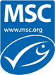 MSC